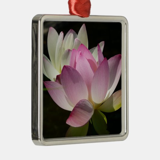 Ornement Carré Argenté Paire de fleurs de Lotus II (Droite)