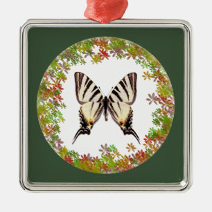 Ornement Carré Argenté Papillon à queue épaisse isolée