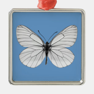 Ornement Carré Argenté Papillon blanc à veine noire isolé