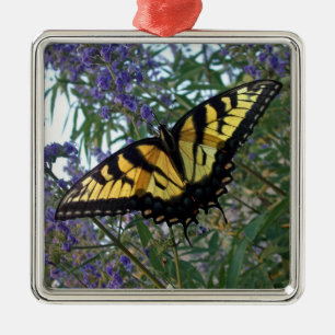 Ornement Carré Argenté Papillon oriental de machaon de tigre