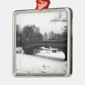 Ornement Carré Argenté Parc NYC. de Centeral d'hiver (Gauche)