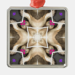 Ornement Carré Argenté Part du lion