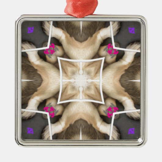 Ornement Carré Argenté Part du lion (Devant)