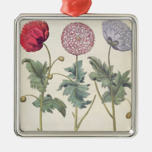 Ornement Carré Argenté Pavots : rubicundis multiplex des albumoris