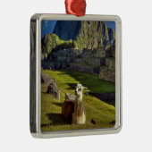 Ornement Carré Argenté Pérou, Andes, Monts des Andes, Machu Picchu (Droite)