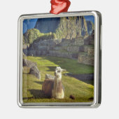 Ornement Carré Argenté Pérou, Andes, Monts des Andes, Machu Picchu (Gauche)