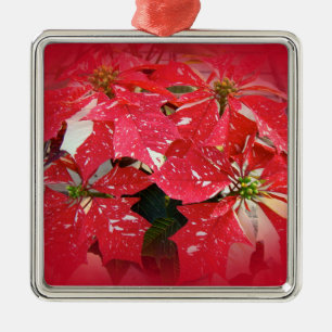 Ornement Carré Argenté Personnaliser ProduitRouge et blanc Poinsettia