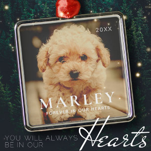 Ornement Carré Argenté Pet Memorial Forever Hearts Simple Elegant Photo