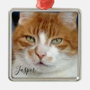 Ornement Carré Argenté Pet Photo Name Christmas