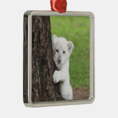 Ornement Carré Argenté Petit animal de lion blanc se cachant derrière un (Droite)