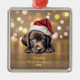 Ornement Carré Argenté Petit Labrador Retriever Chien Santa Hat Noël