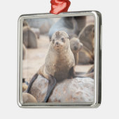 Ornement Carré Argenté Phoque pour bébé (Gauche)