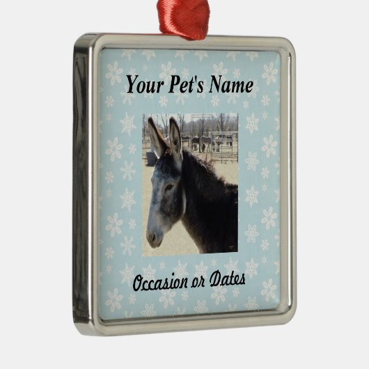 Ornement Carré Argenté Photo d'animal familier avec l'arrière - plan bleu (Droite)