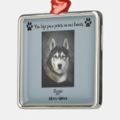 Ornement Carré Argenté Photo éditable Empreintes de pattes d'animaux sur (Gauche)