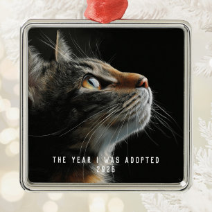 Ornement Carré Argenté Photographie de l'adoption d'un chat de type moder