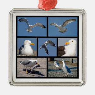 Ornement Carré Argenté Photos multiples de mouettes