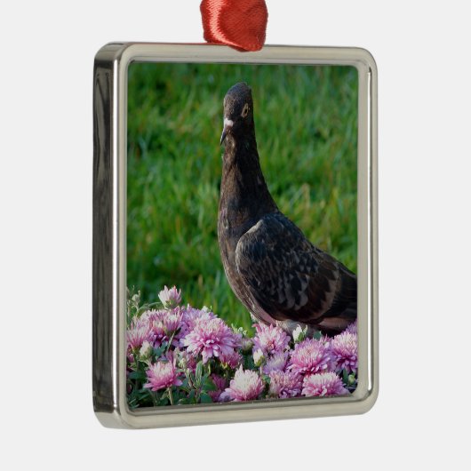 Ornement Carré Argenté Pigeon et maman (Droite)