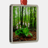 Ornement Carré Argenté Pink Lady Slipper sauvage orchidée (Droite)