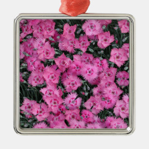 Ornement Carré Argenté Pink sweet william flowers