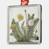 Ornement Carré Argenté Pissenlit (gravure de couleur) (Gauche)