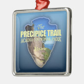 Ornement Carré Argenté Piste des précipitations (flèche) (Gauche)