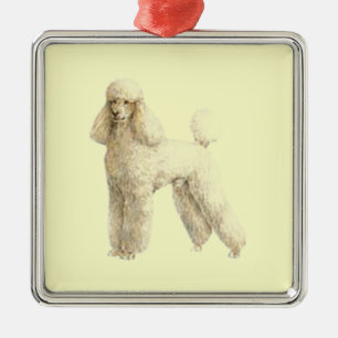 Ornement Carré Argenté Poodle — Clip de chiot