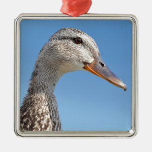 Ornement Carré Argenté portrait de canard