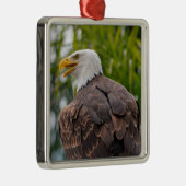 Ornement Carré Argenté Portrait de l'aigle chauve (Droite)