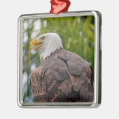 Ornement Carré Argenté Portrait de l'aigle chauve (Gauche)