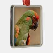 Ornement Carré Argenté Portrait de macaw à front rouge (Droite)