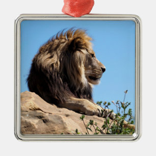 Ornement Carré Argenté Portrait of lion seen from profile