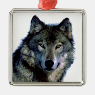 Ornement Carré Argenté Portrait Wolf