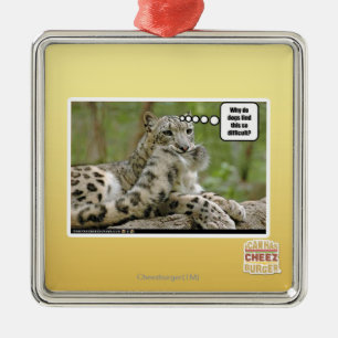 Ornement Carré Argenté Pourquoi les chiens trouvent-ils ceci si difficile