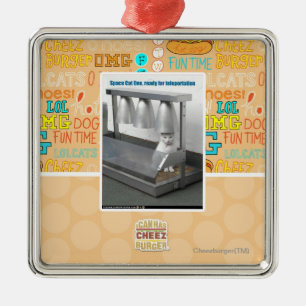 Ornement Carré Argenté Préparez pour la téléportation