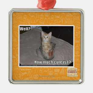 Ornement Carré Argenté Puits ?