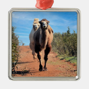 Ornement Carré Argenté Purnimama & Delany