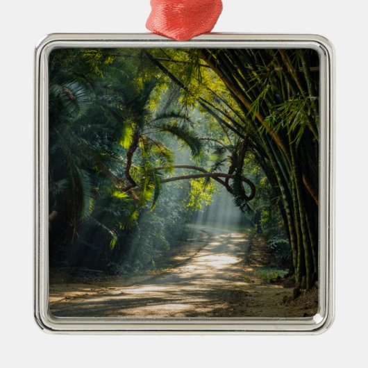 Ornement Carré Argenté Rangées de bambou (Devant)