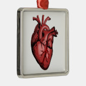 Ornement Carré Argenté Realistic Anatomical Heart Image (Droite)