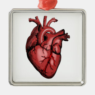 Ornement Carré Argenté Realistic Anatomical Heart Image