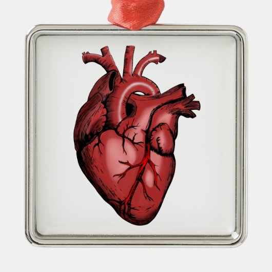 Ornement Carré Argenté Realistic Anatomical Heart Image (Devant)