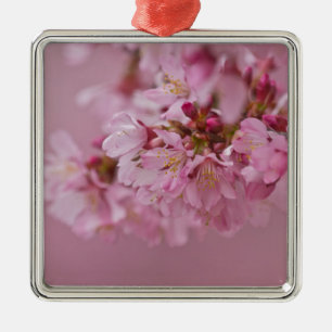 Ornement Carré Argenté Reflets Rose Pâle des Fleurs de Cerisier Sakura