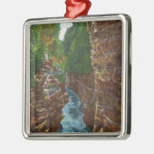 Ornement Carré Argenté Regard en bas de l'abîme d'Ausable de la caverne (Gauche)