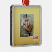 Ornement Carré Argenté Règle #231 de Kitteh (Droite)