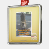 Ornement Carré Argenté Rejets de Firefox (Gauche)