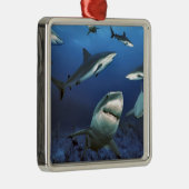 Ornement Carré Argenté Requins entourants (Droite)