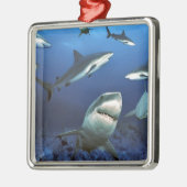 Ornement Carré Argenté Requins entourants (Gauche)