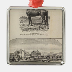 Ornement Carré Argenté Résidences d'Oxford et d'Abilene, le Kansas