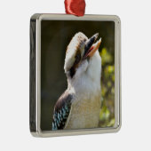Ornement Carré Argenté Rire Kookaburra perché sur la succursale Postcard (Droite)