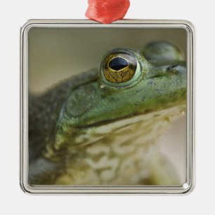 Ornement Carré Argenté Rivière nationale de Bufallo, Arkansas Nord-Ouest