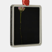 Ornement Carré Argenté Rose 3 de rose (Droite)